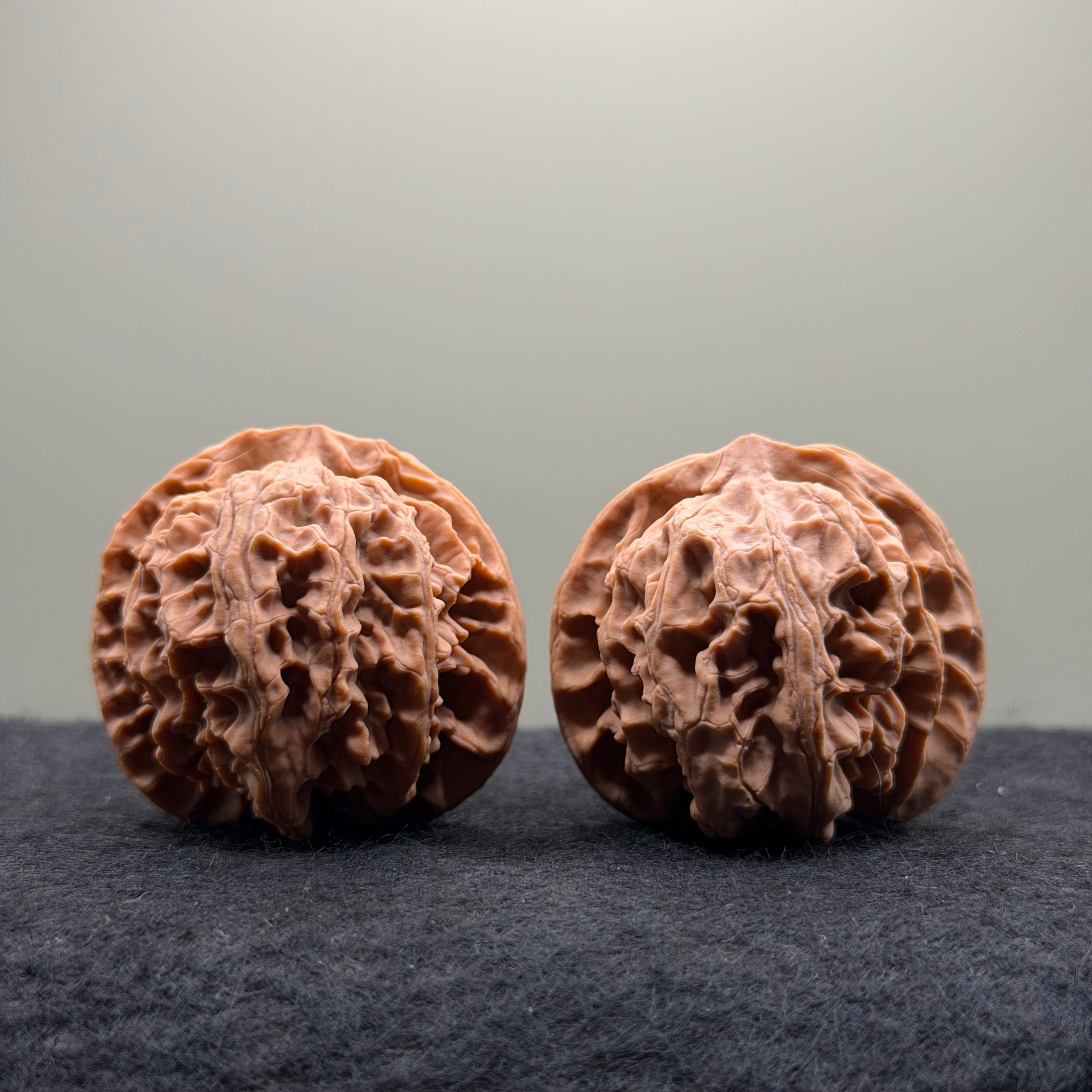 Apple Orchard Wenwan Walnut