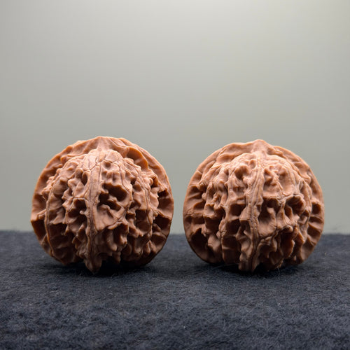 Apple Orchard Wenwan Walnut