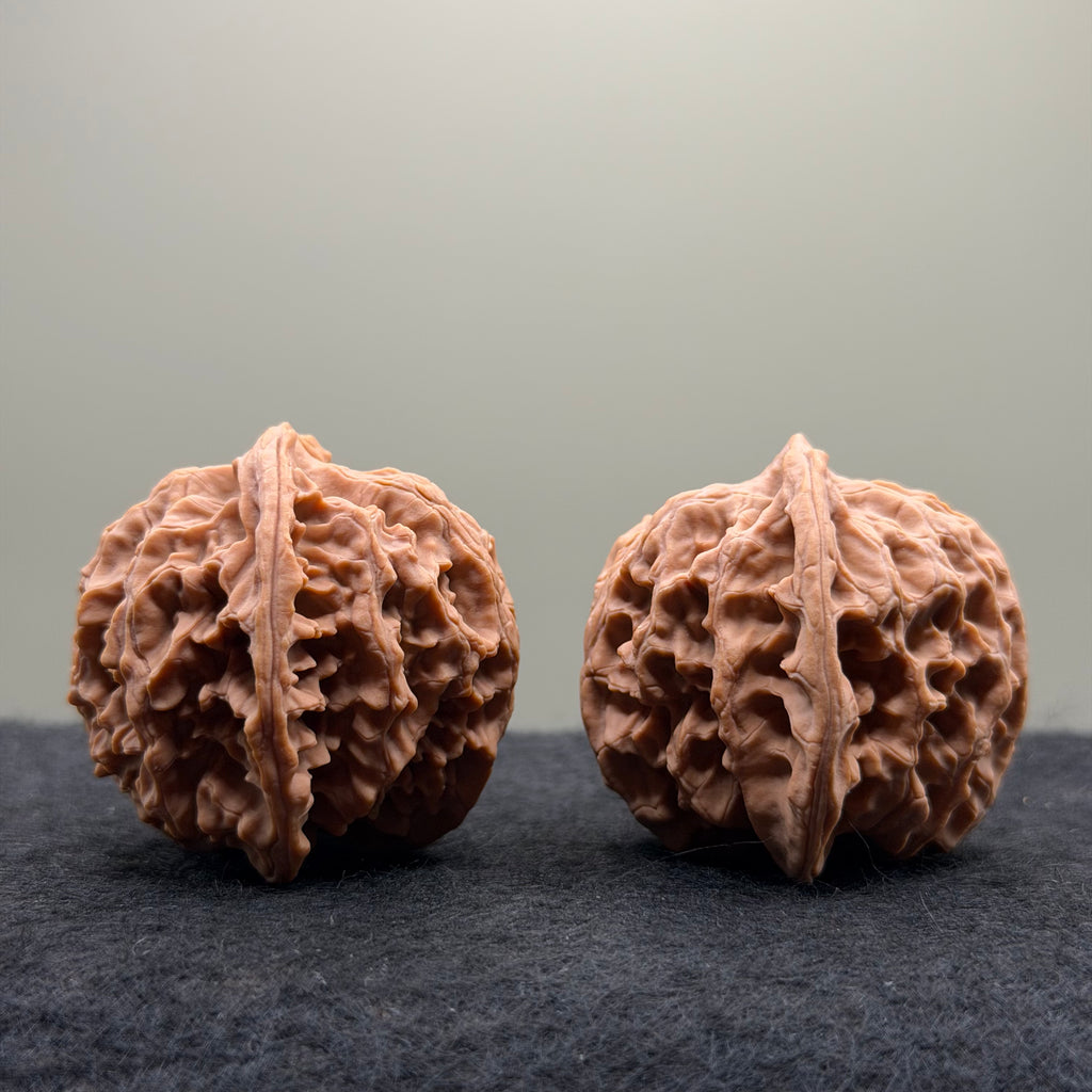 Apple Orchard Wenwan Walnut
