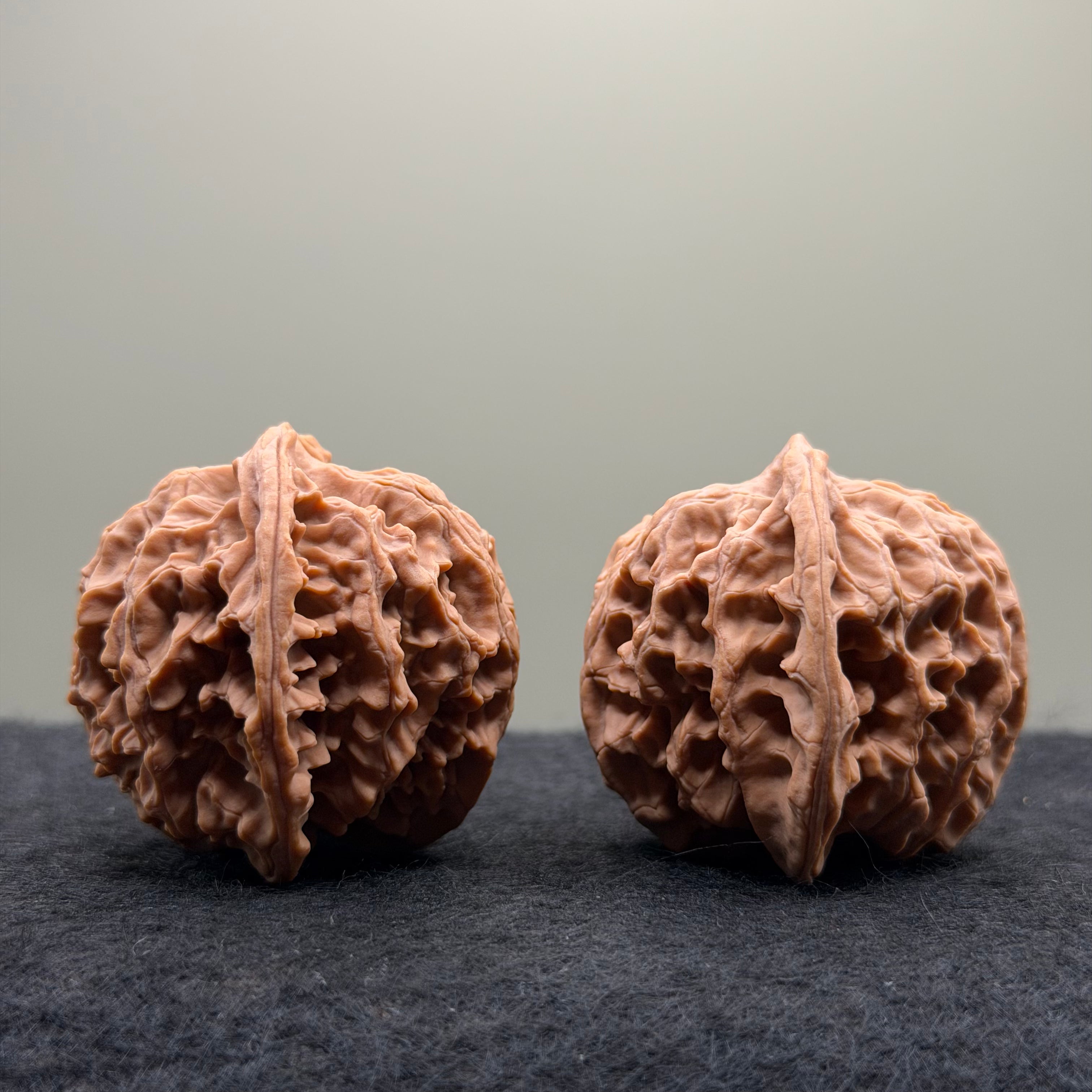 Apple Orchard Wenwan Walnut