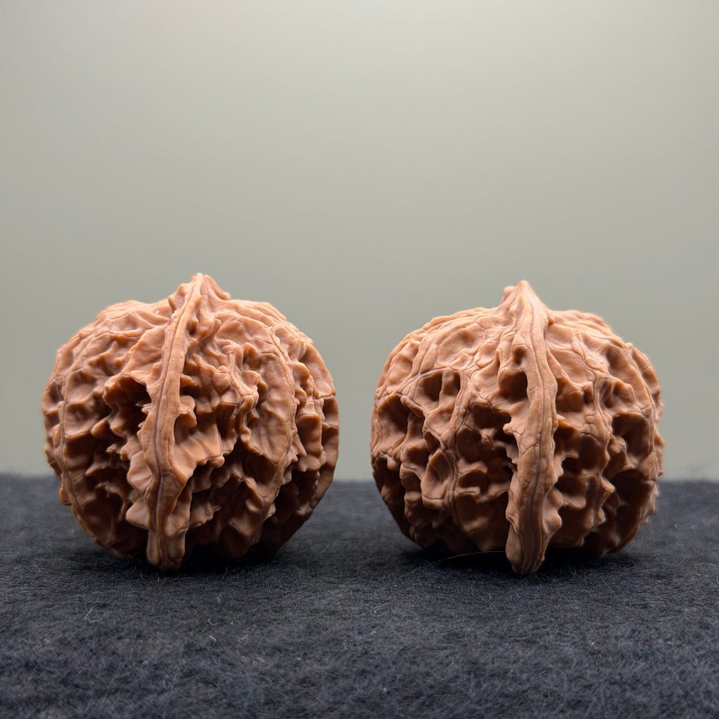 Apple Orchard Wenwan Walnut