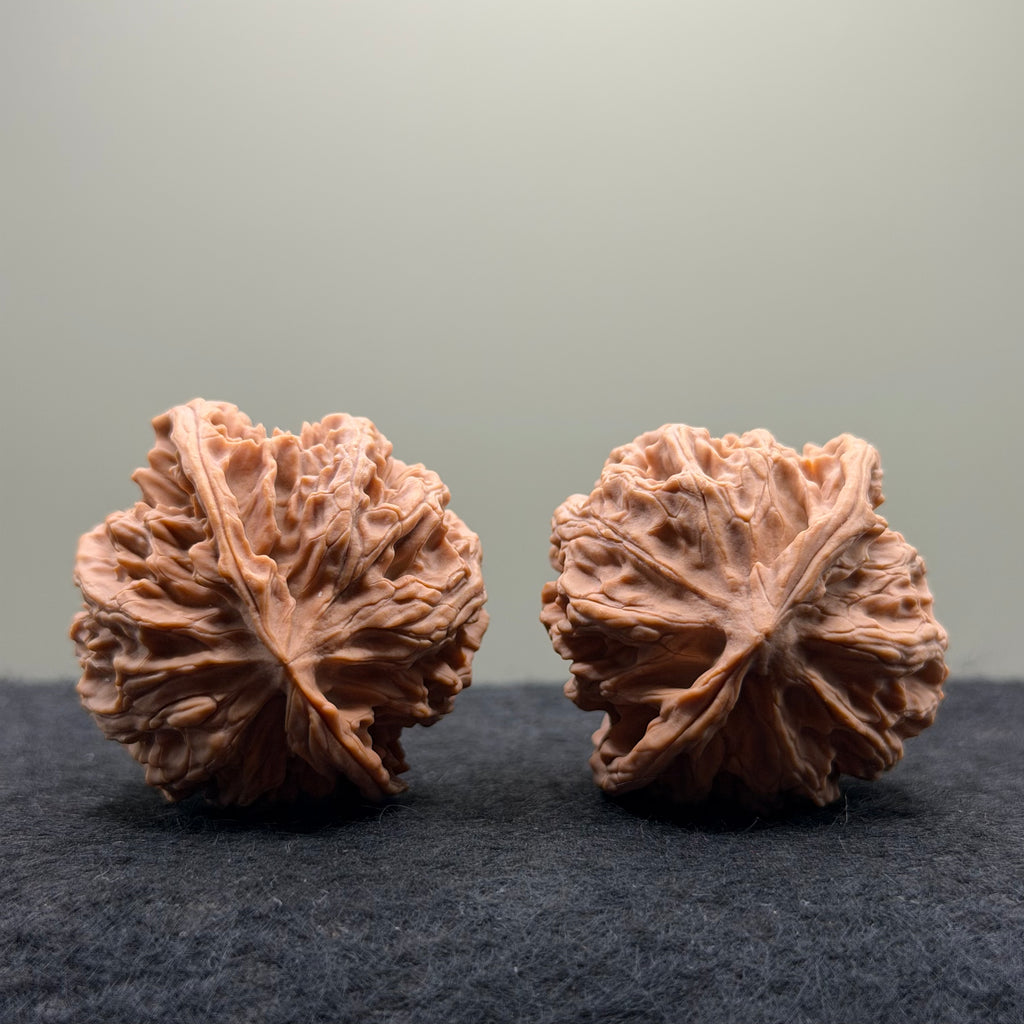 Apple Orchard Wenwan Walnut