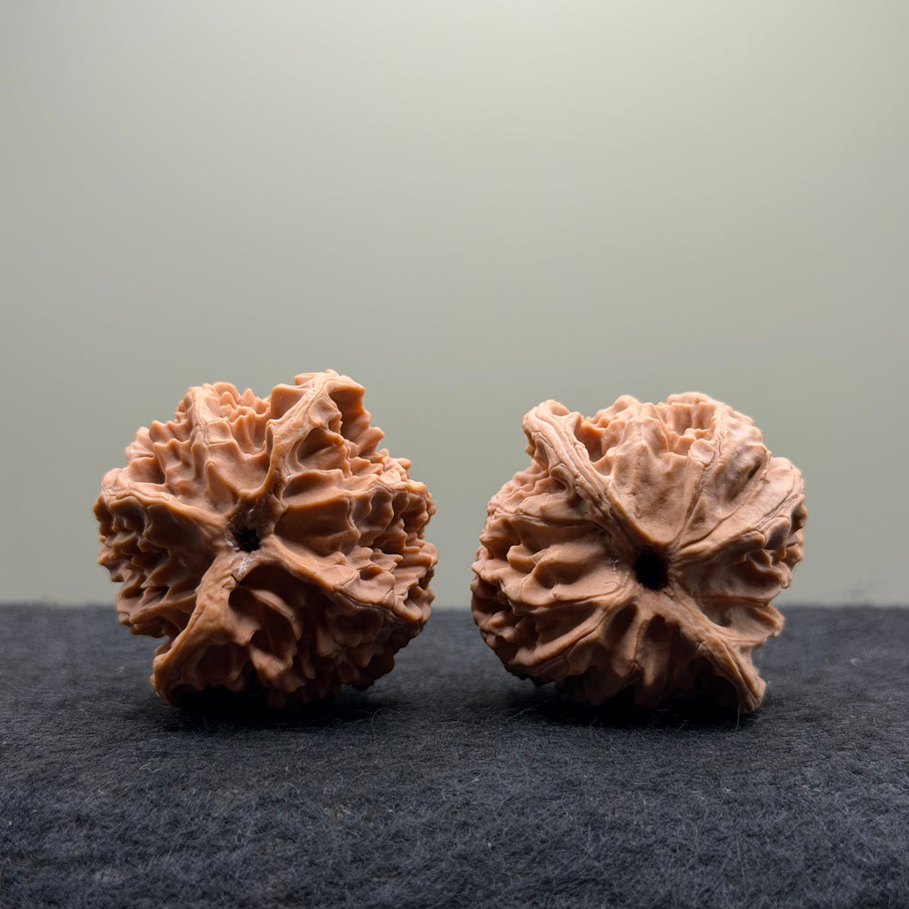 Apple Orchard Wenwan Walnut