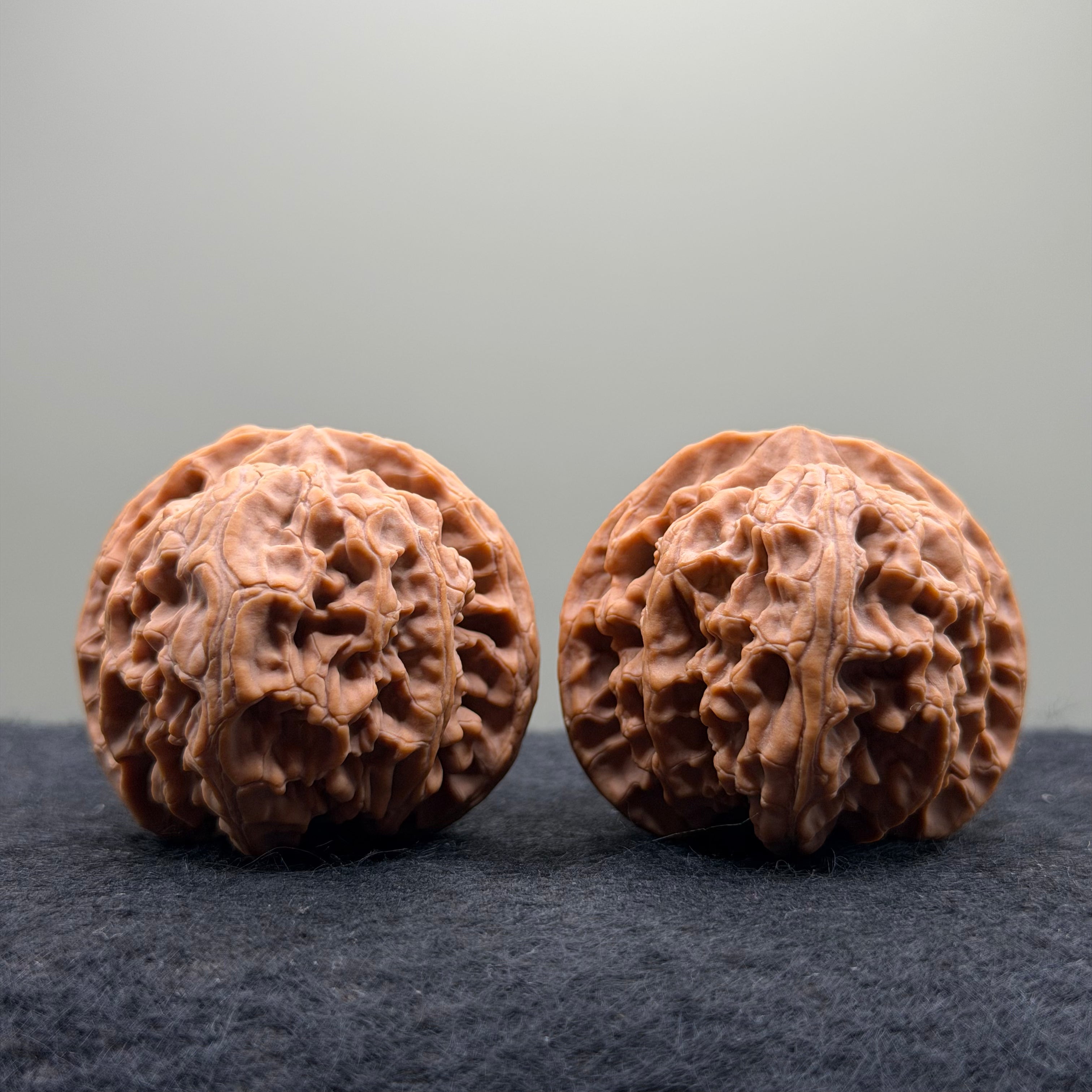 Apple Orchard Wenwan Walnut