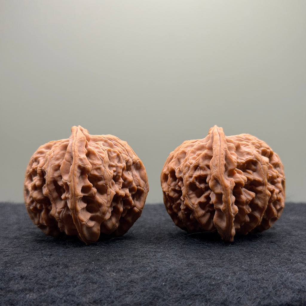 Apple Orchard Wenwan Walnut