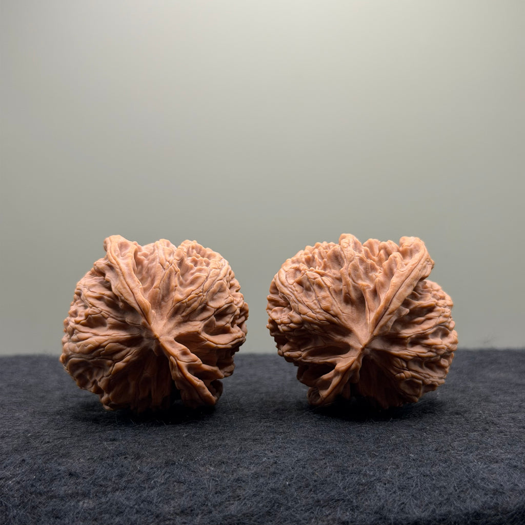 Apple Orchard Wenwan Walnut