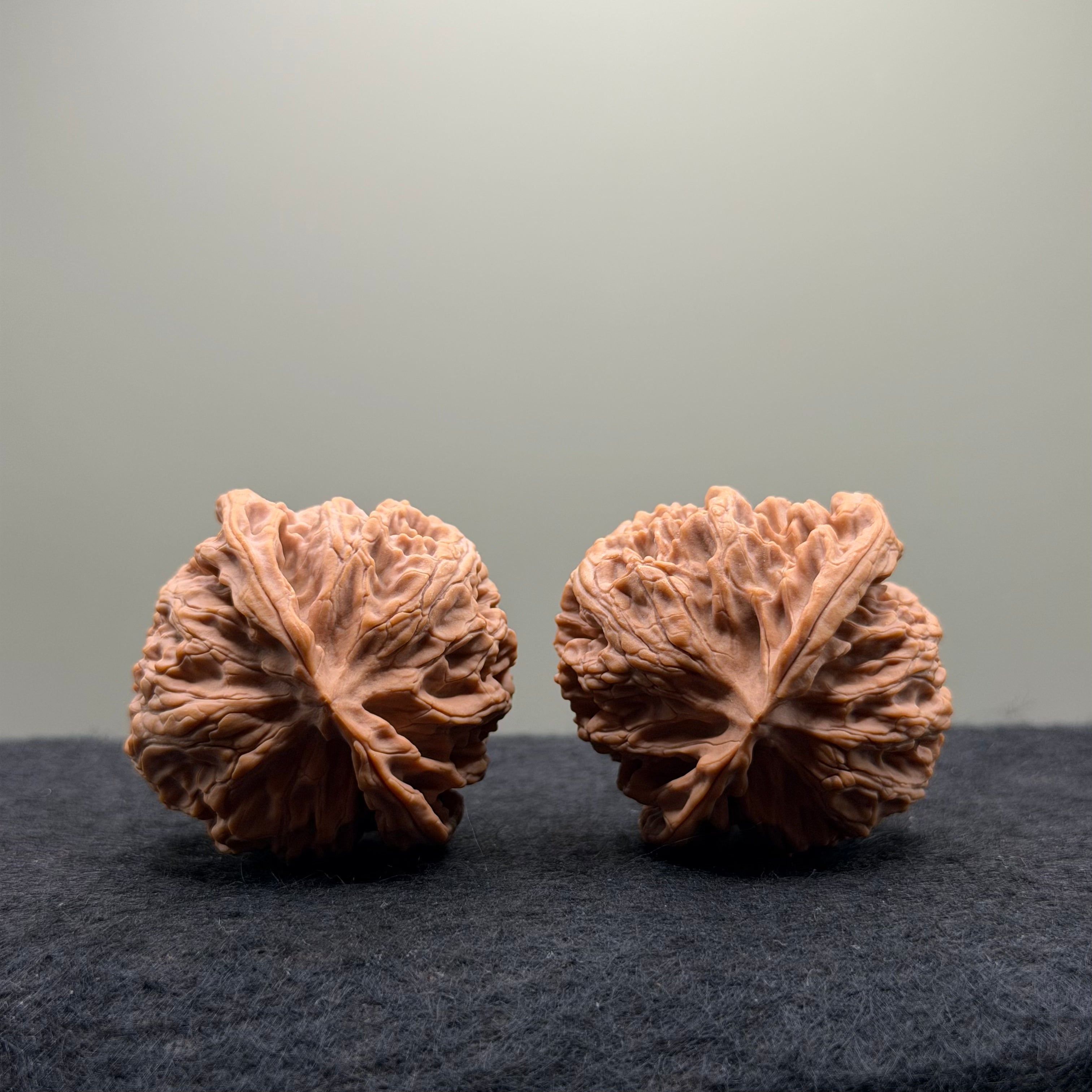 Apple Orchard Wenwan Walnut