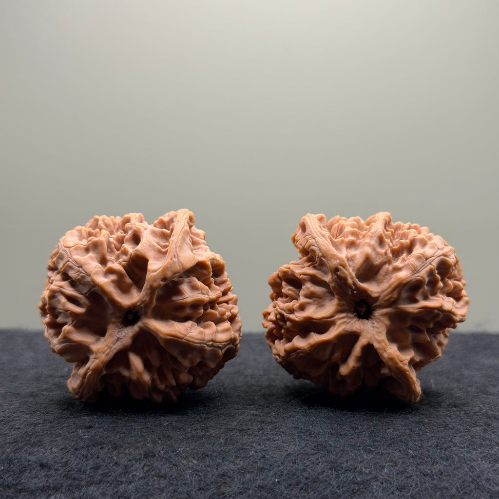 Apple Orchard Wenwan Walnut