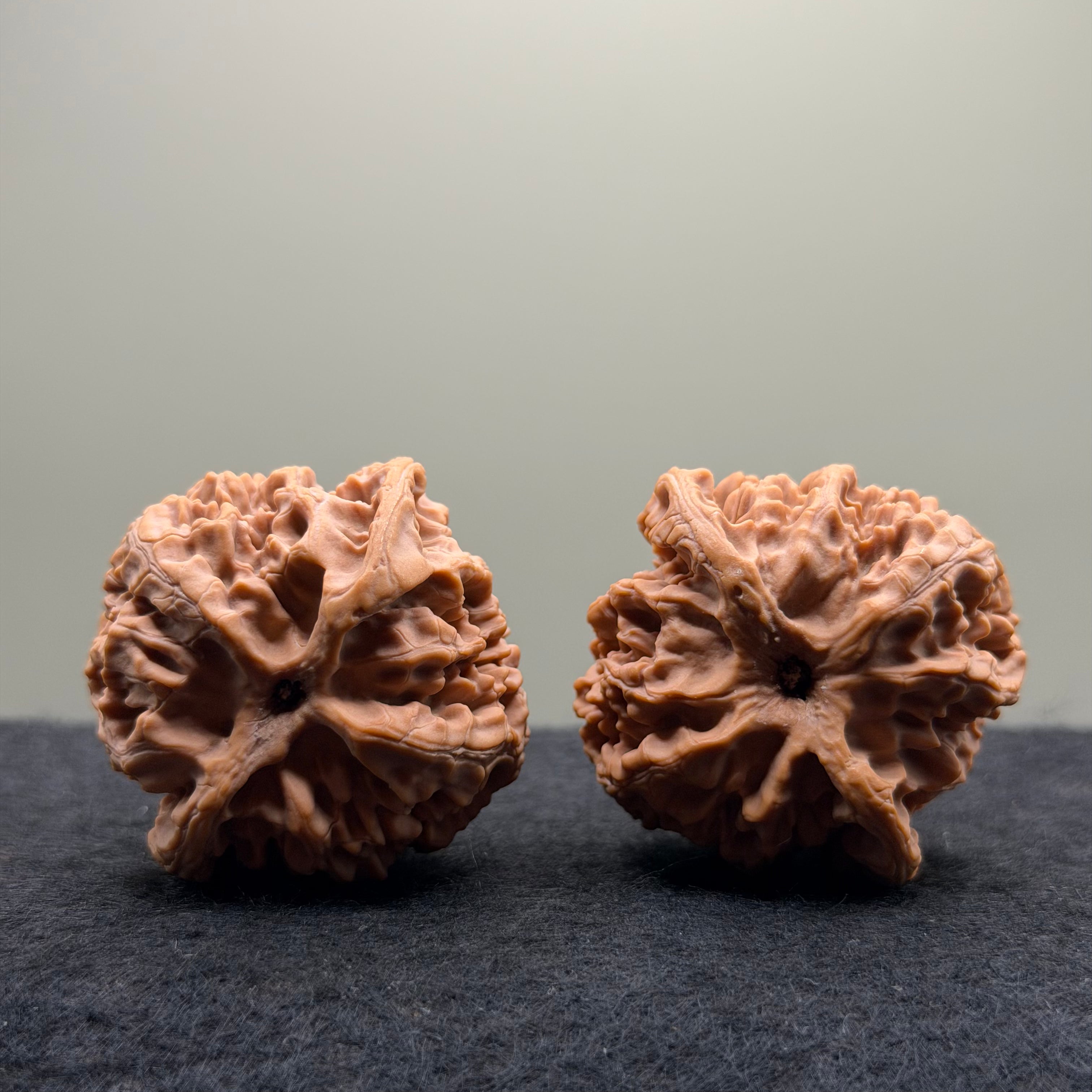 Apple Orchard Wenwan Walnut