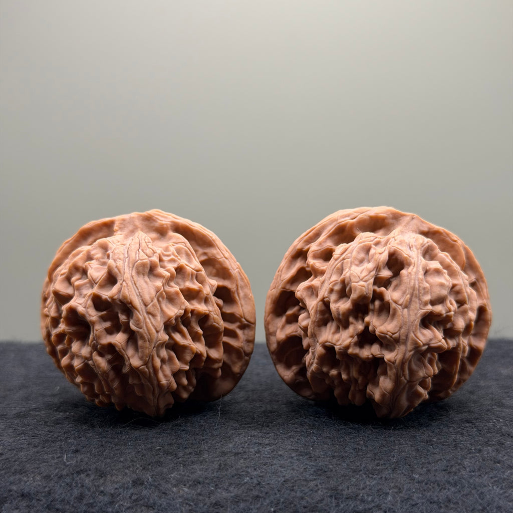 Apple Orchard Wenwan Walnut