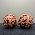 Apple Orchard Wenwan Walnut