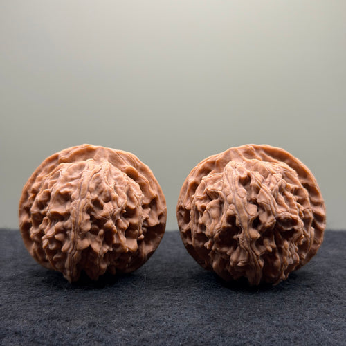Apple Orchard Wenwan Walnut