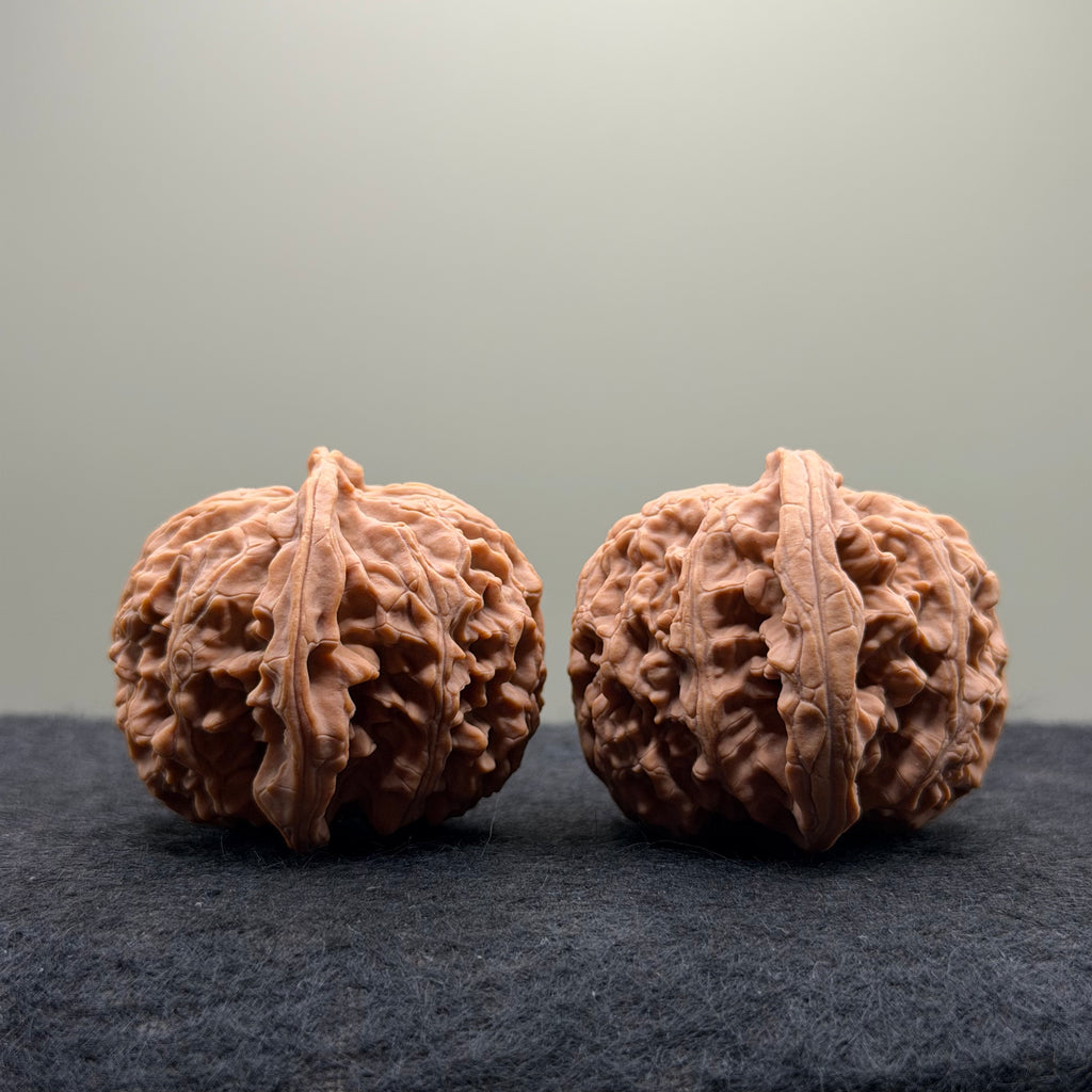 Apple Orchard Wenwan Walnut