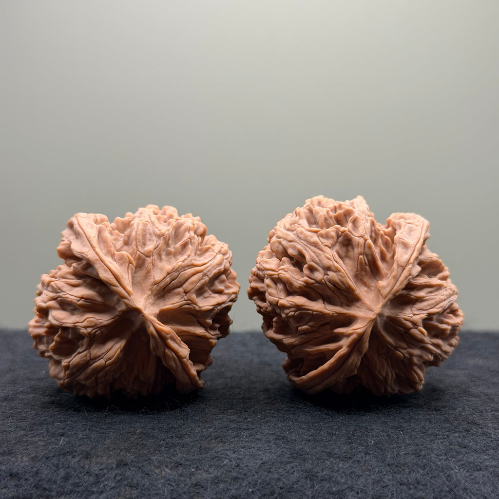 Apple Orchard Wenwan Walnut