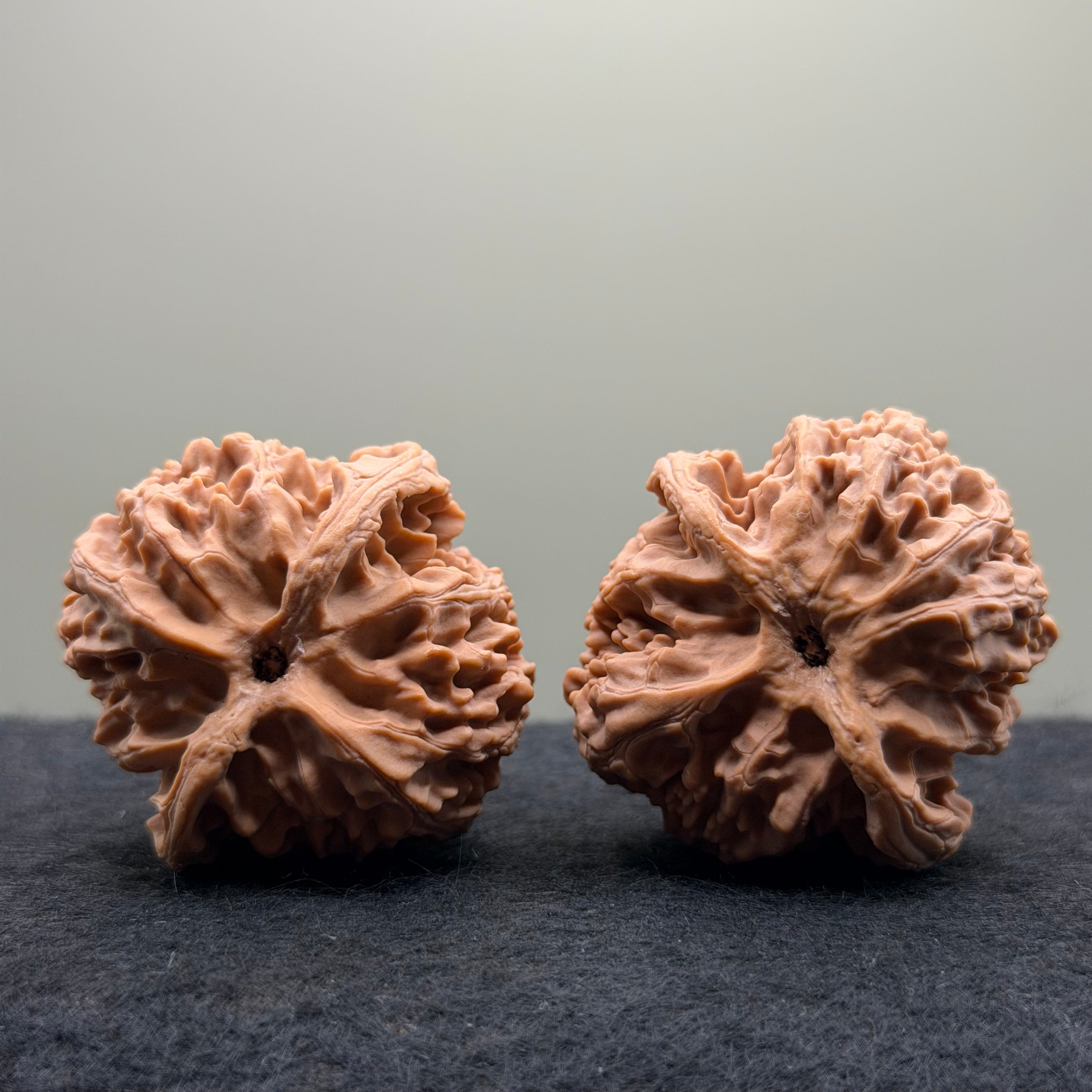 Apple Orchard Wenwan Walnut