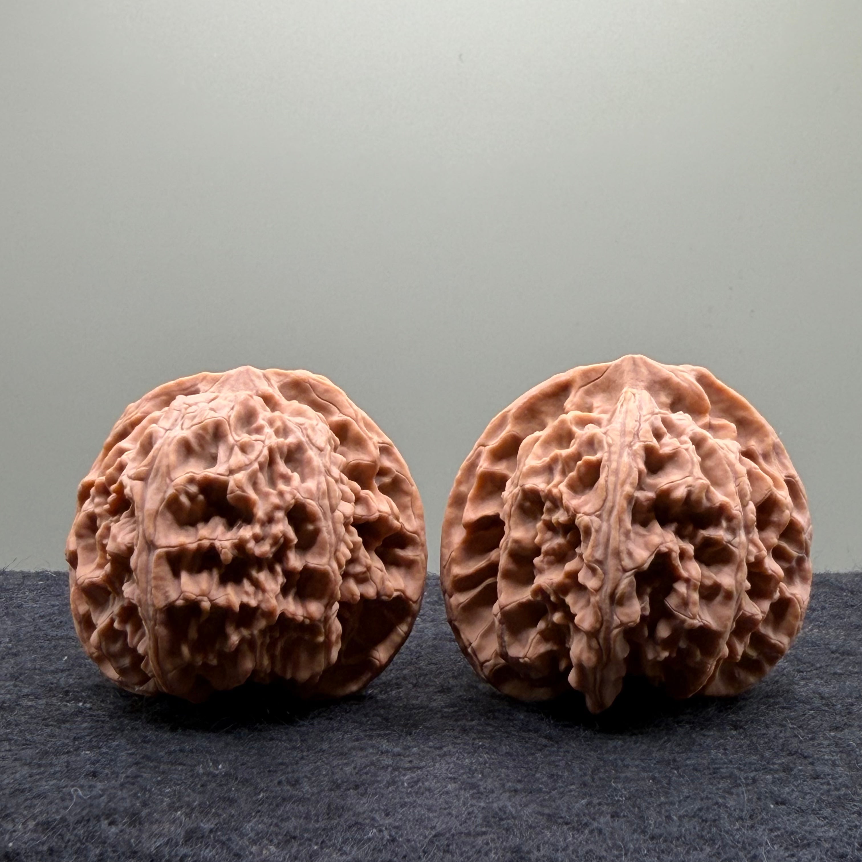 Apple Orchard Wenwan Walnut