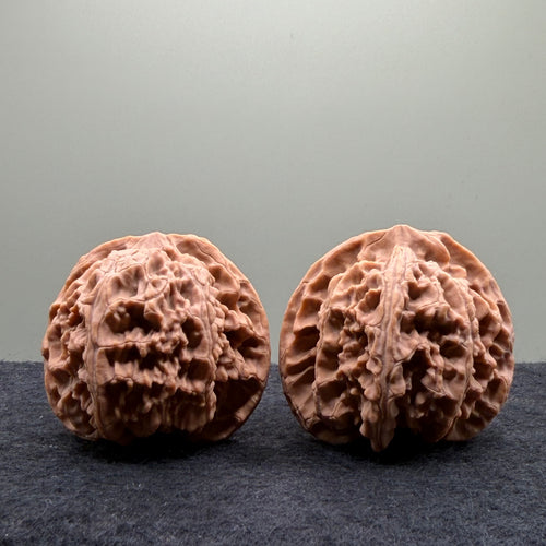 Apple Orchard Wenwan Walnut