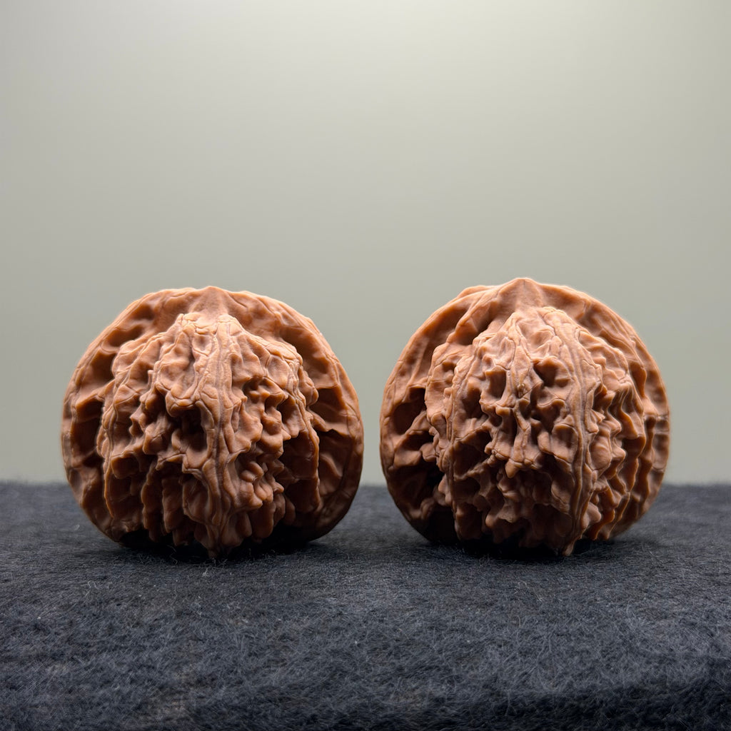 Apple Orchard Wenwan Walnut