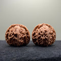 Apple Orchard Wenwan Walnut