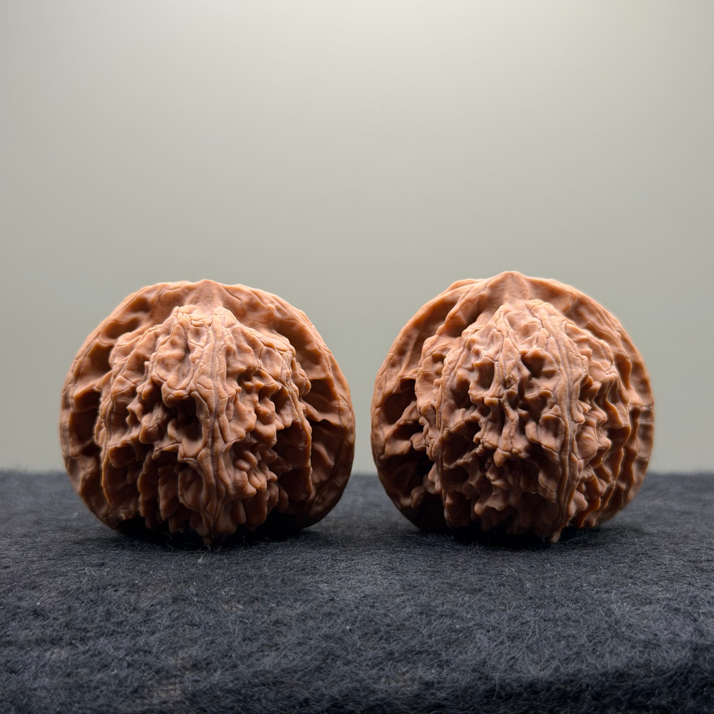Apple Orchard Wenwan Walnut