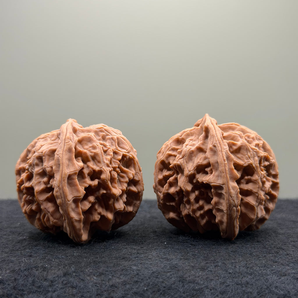 Apple Orchard Wenwan Walnut