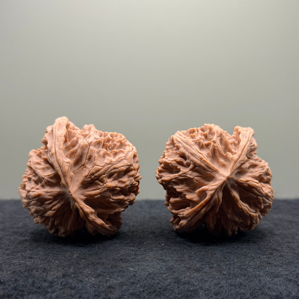Apple Orchard Wenwan Walnut