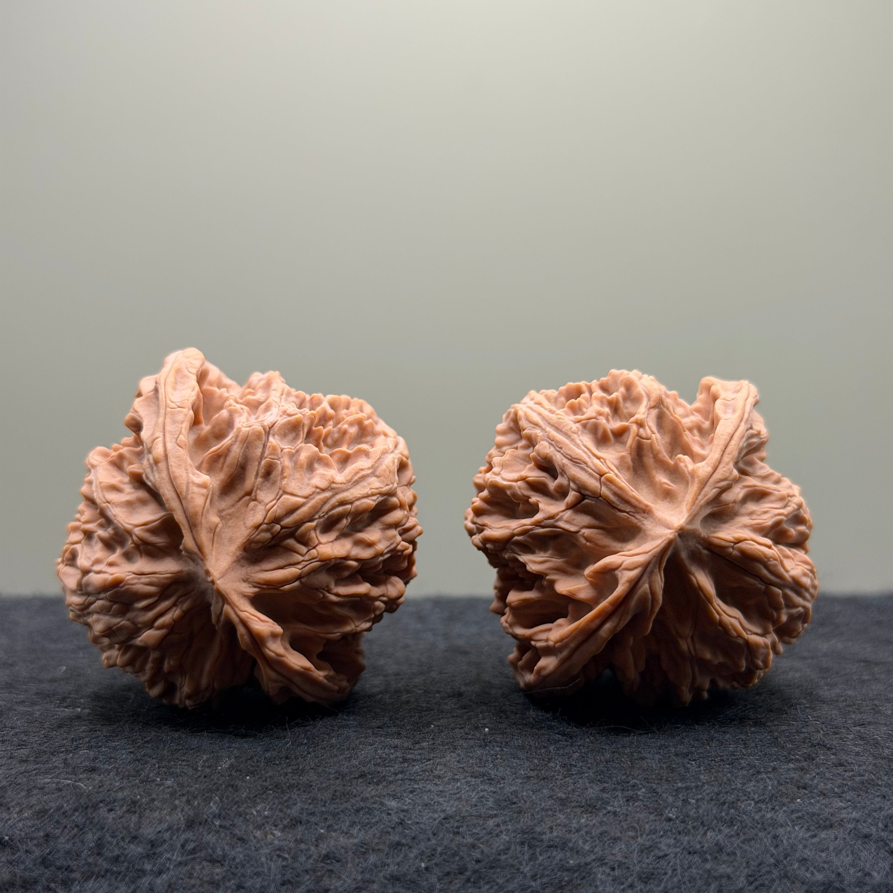 Apple Orchard Wenwan Walnut
