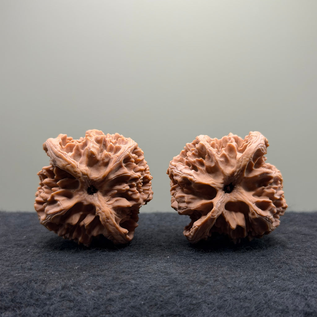 Apple Orchard Wenwan Walnut