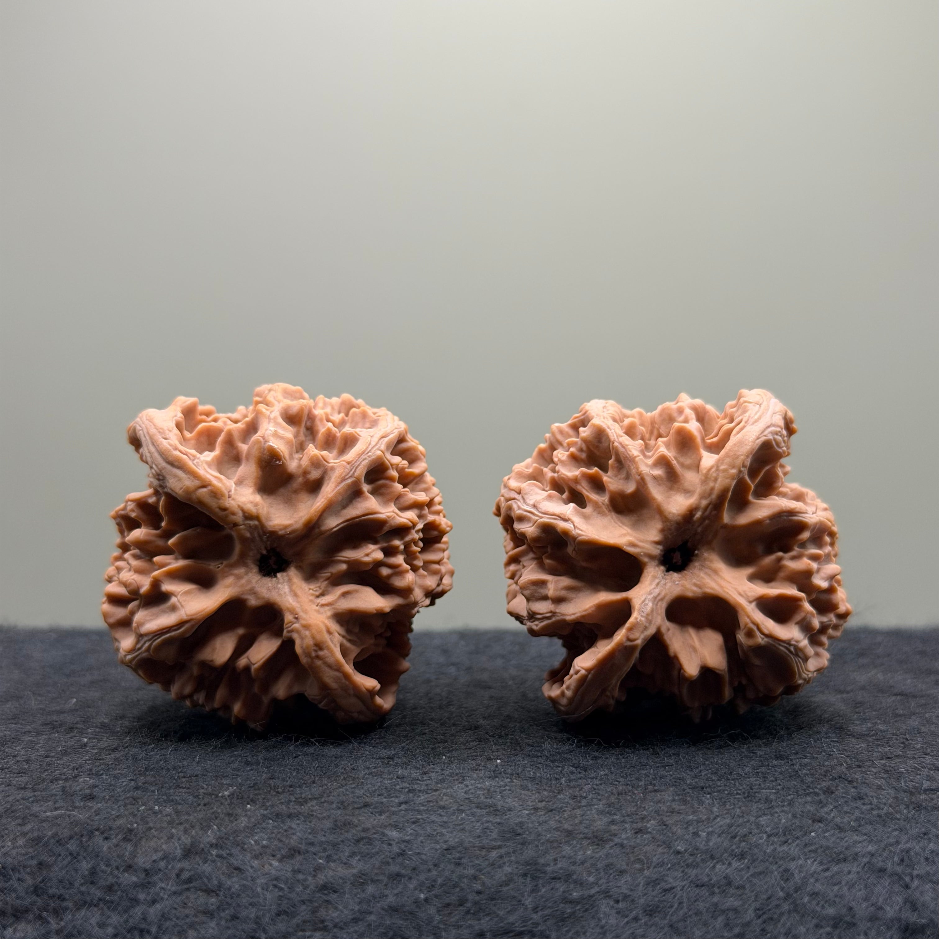 Apple Orchard Wenwan Walnut