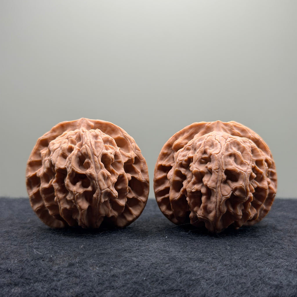 Apple Orchard Wenwan Walnut