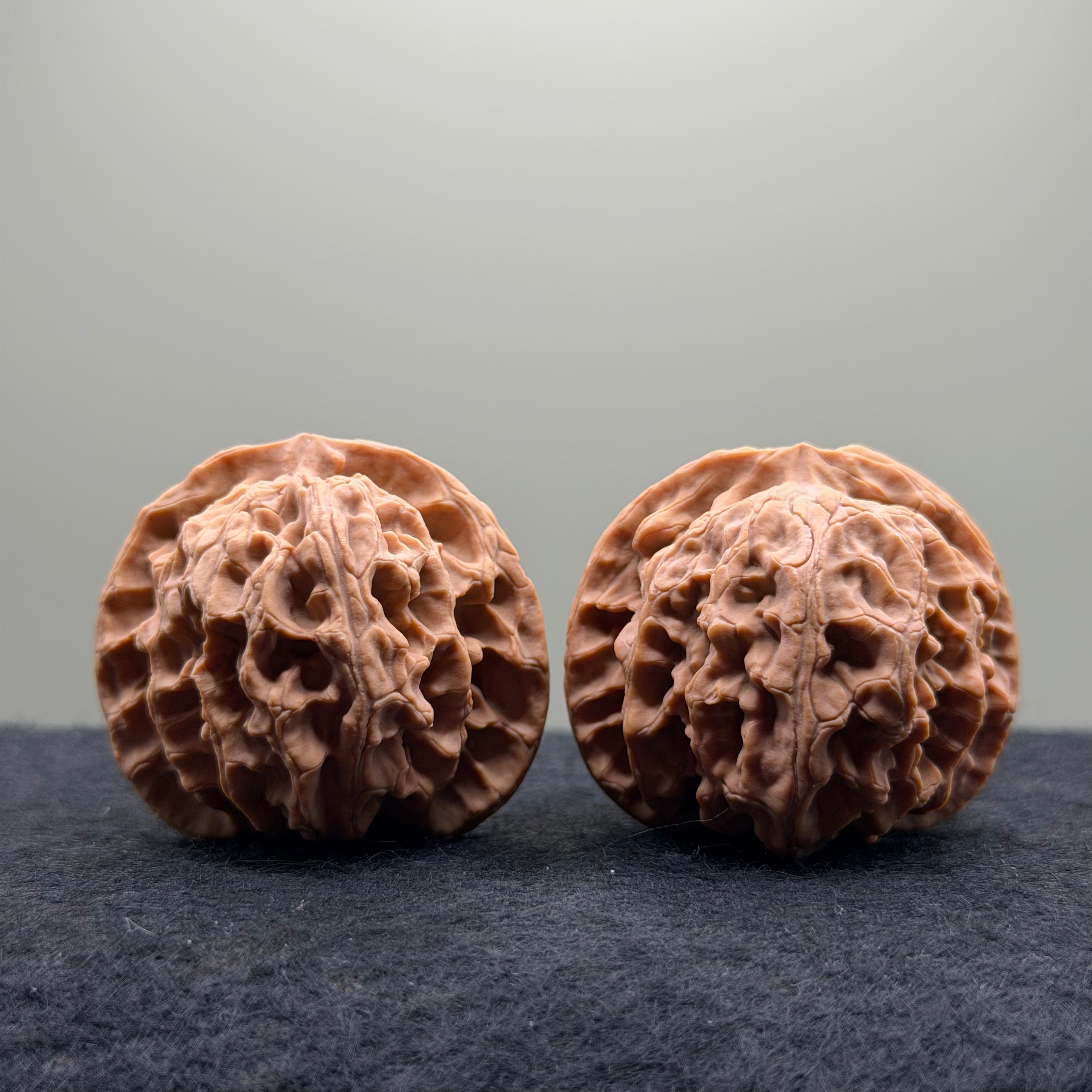 Apple Orchard Wenwan Walnut