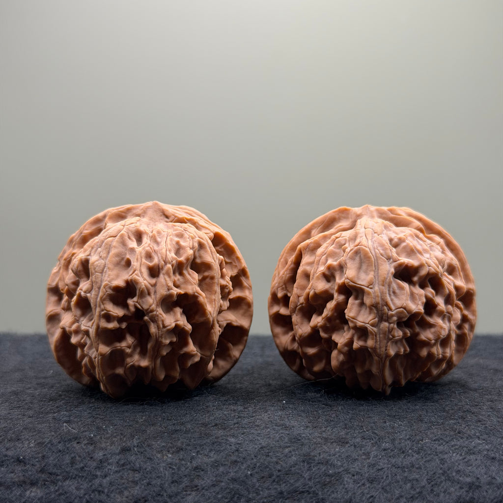 Apple Orchard Wenwan Walnut