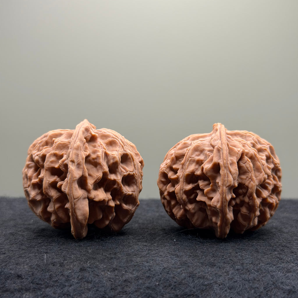 Apple Orchard Wenwan Walnut