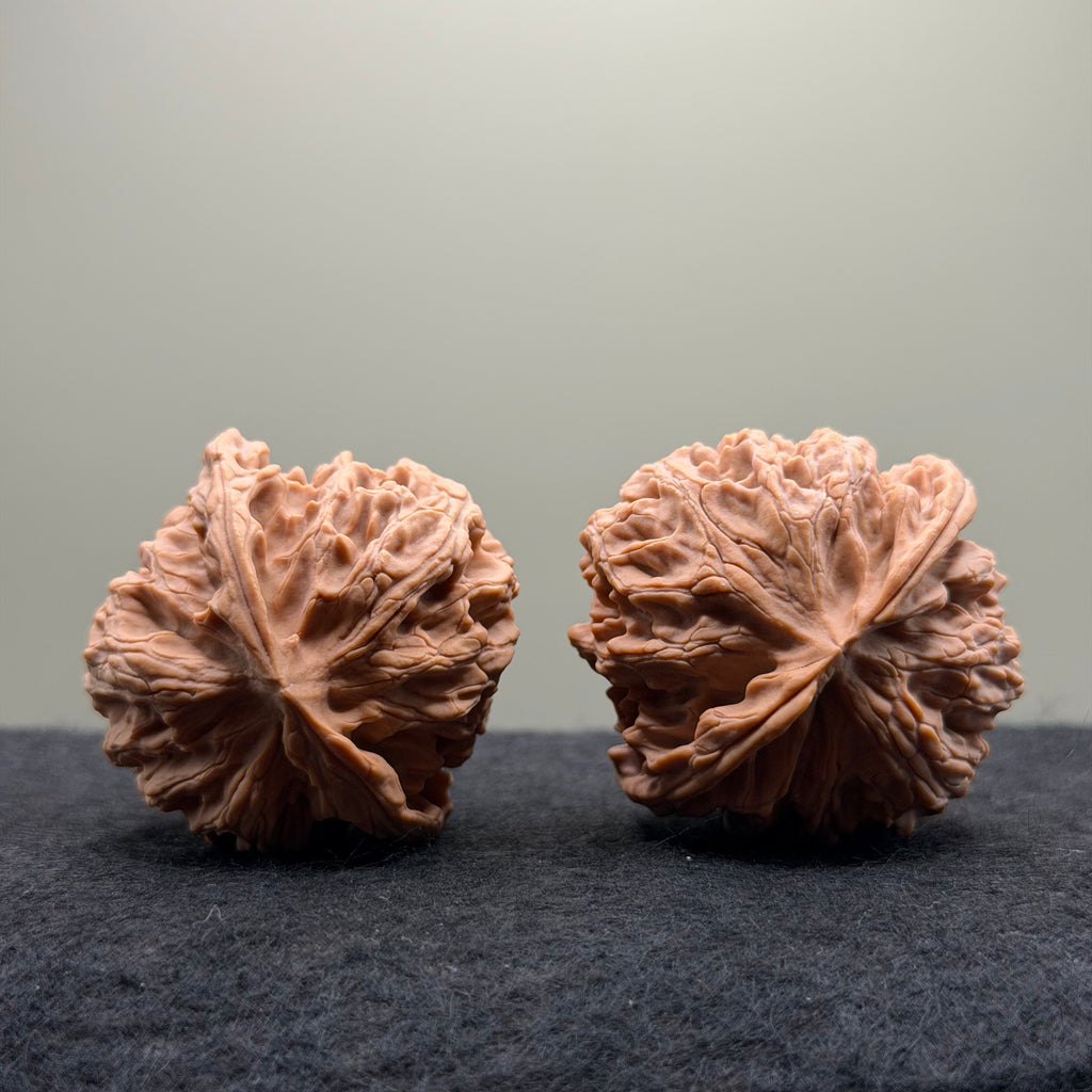 Apple Orchard Wenwan Walnut