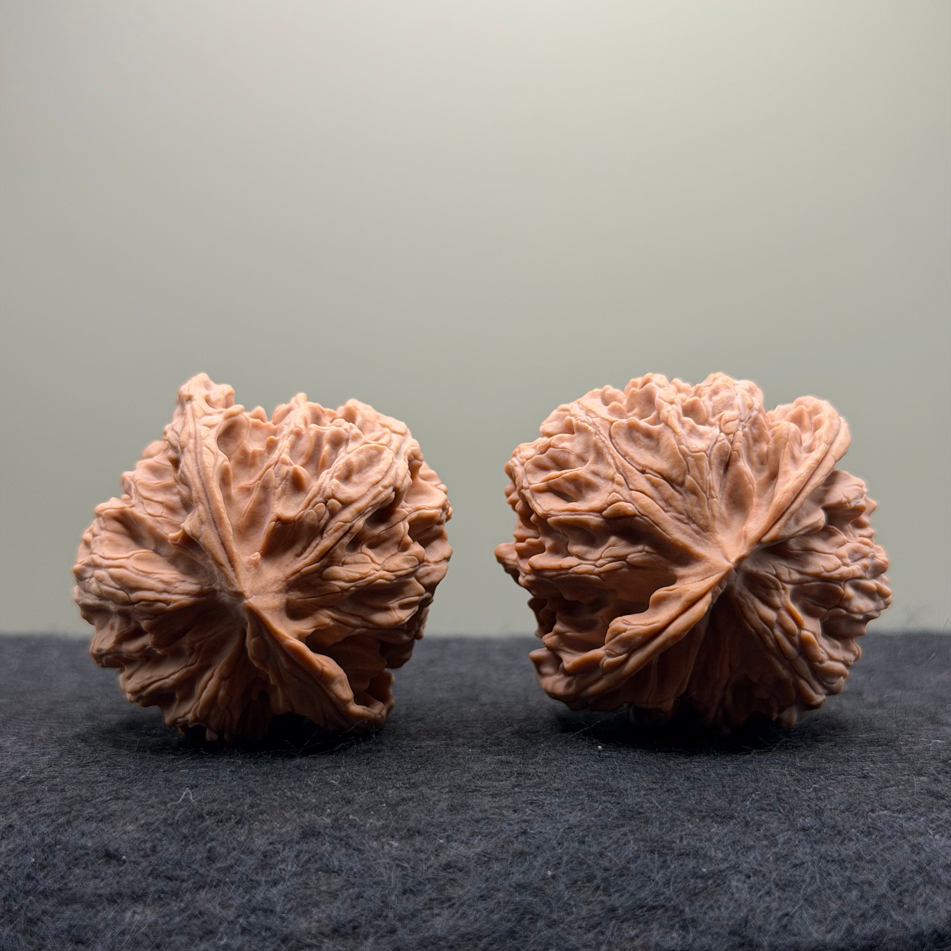 Apple Orchard Wenwan Walnut