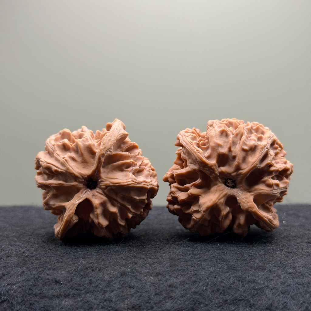 Apple Orchard Wenwan Walnut