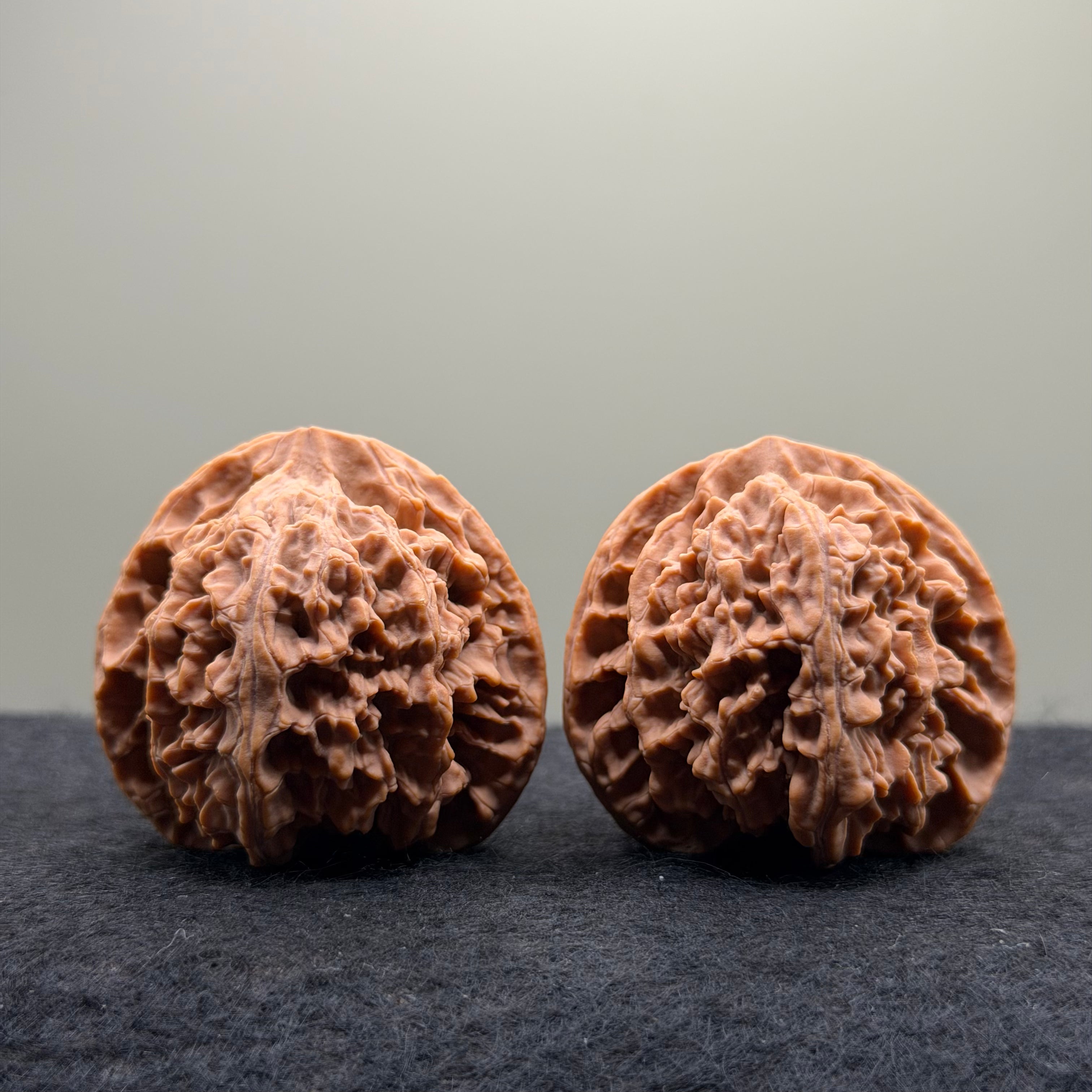 Apple Orchard Wenwan Walnut