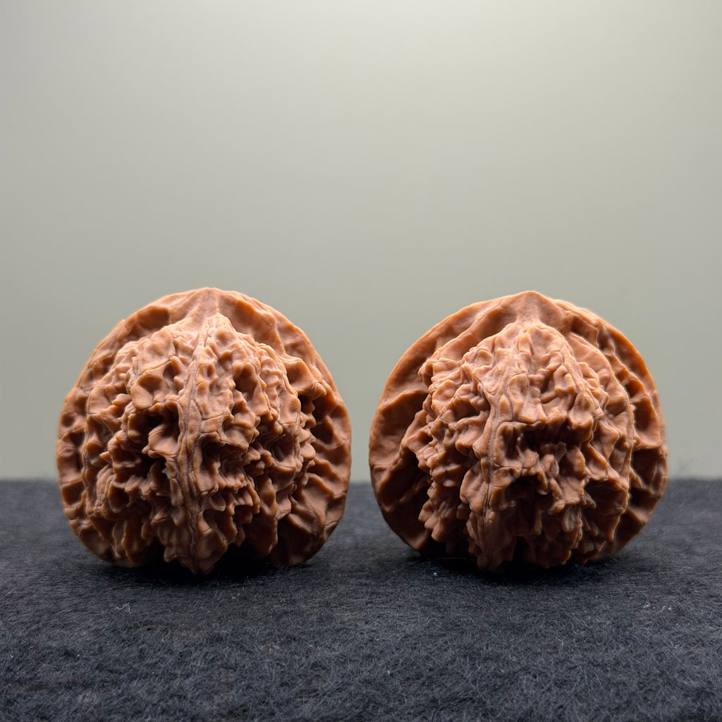 Apple Orchard Wenwan Walnut