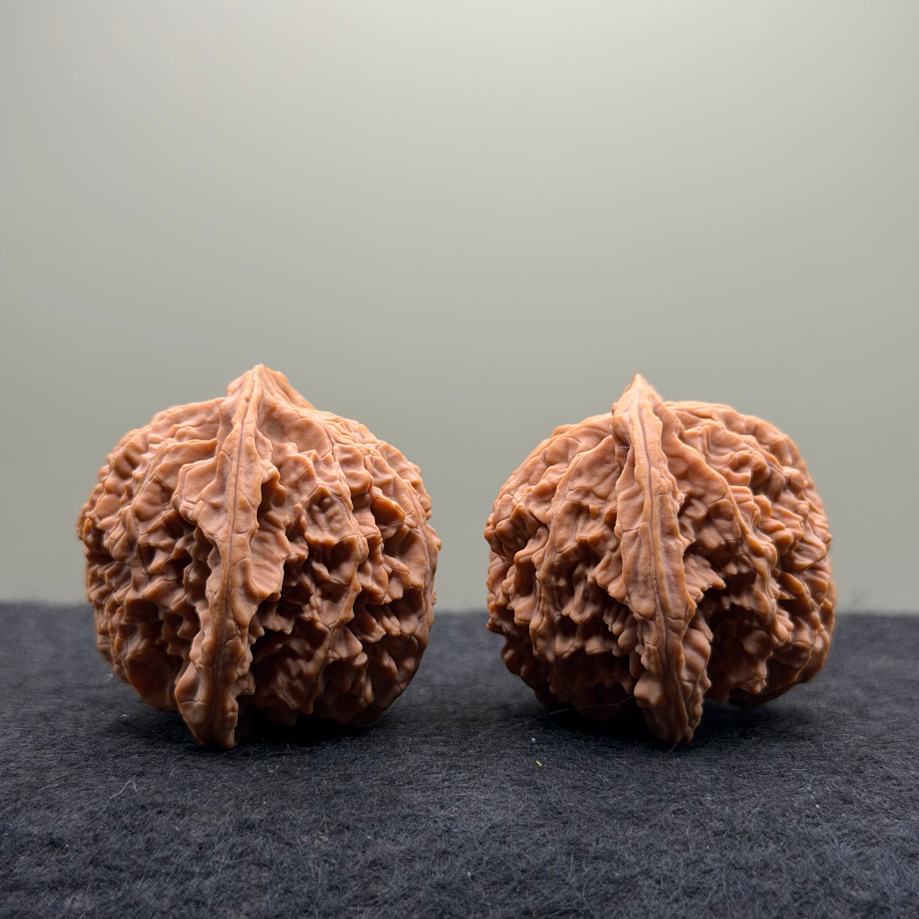 Apple Orchard Wenwan Walnut