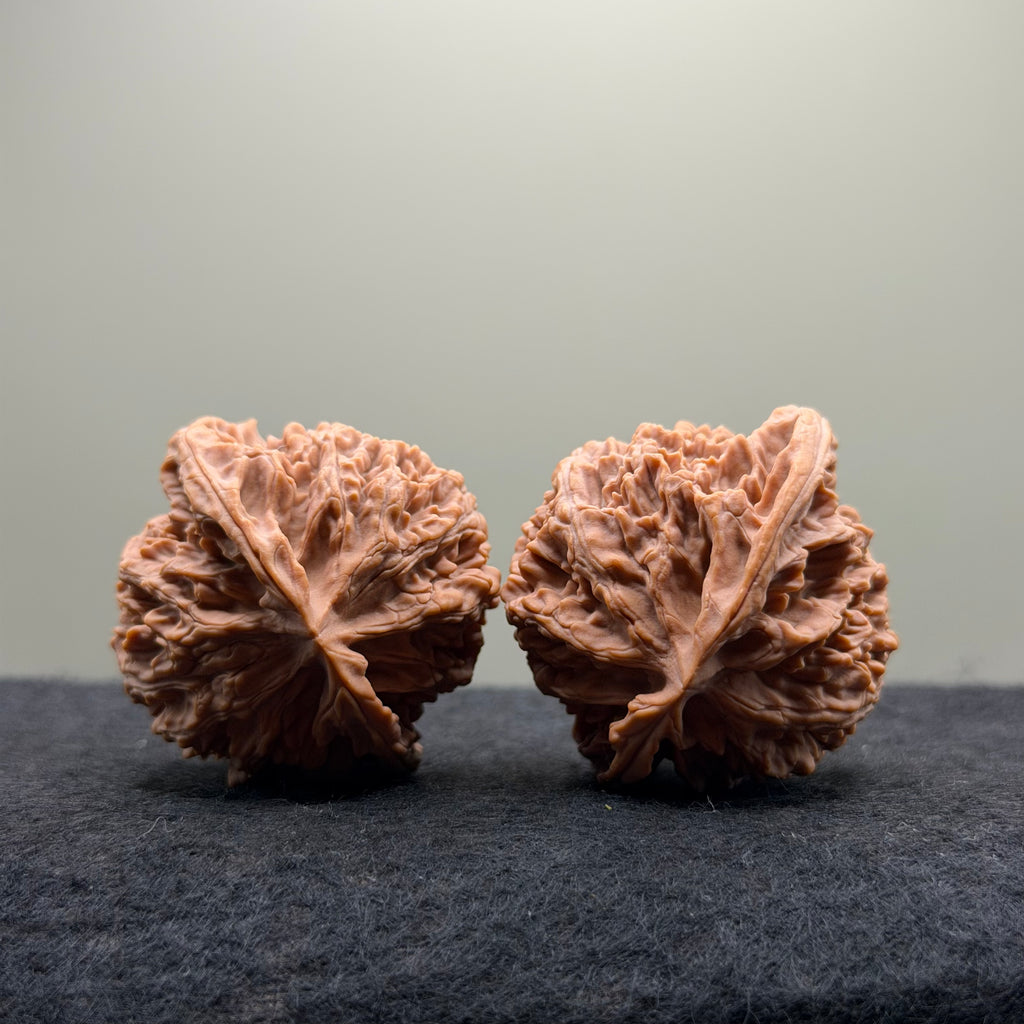 Apple Orchard Wenwan Walnut