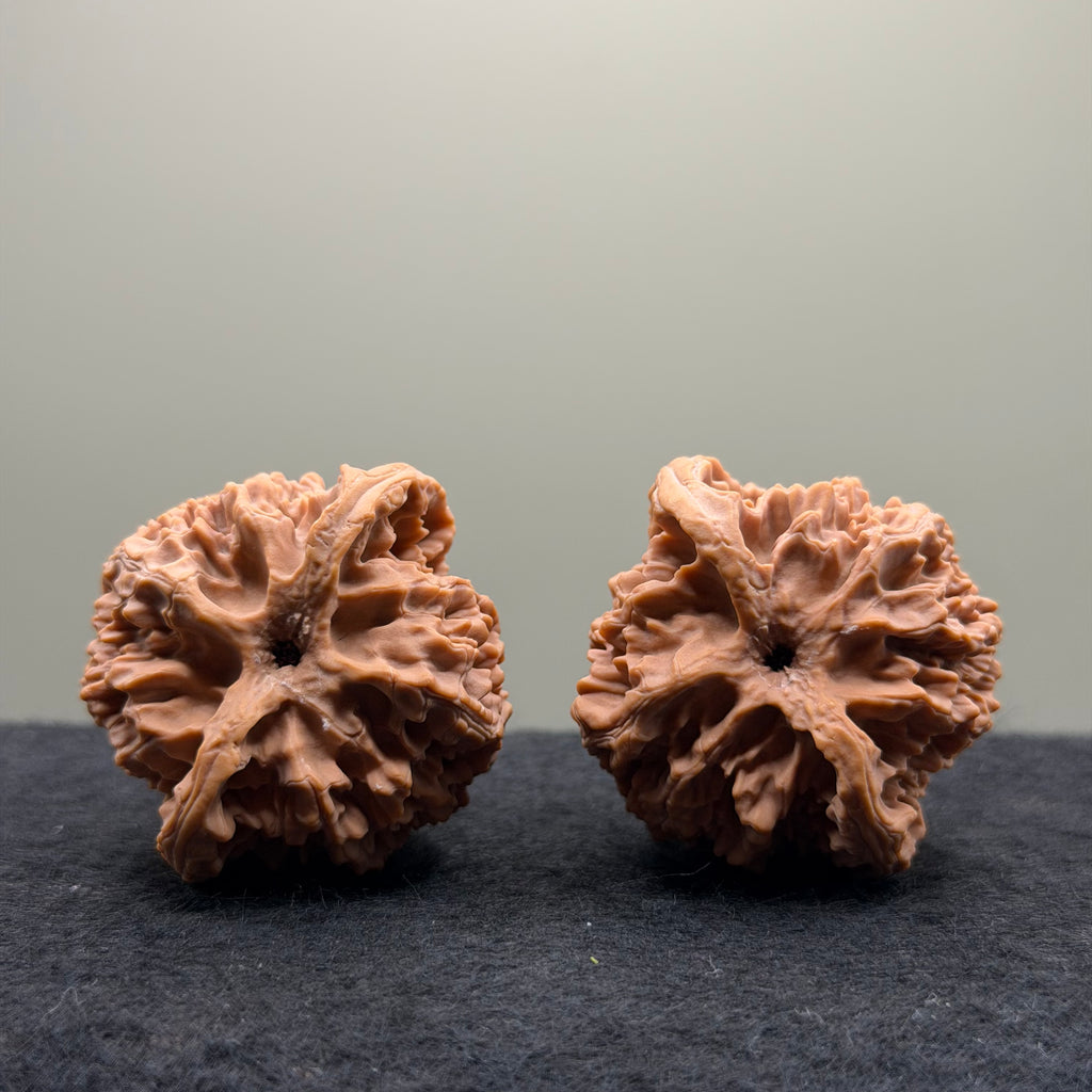 Apple Orchard Wenwan Walnut