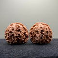 Apple Orchard Wenwan Walnut
