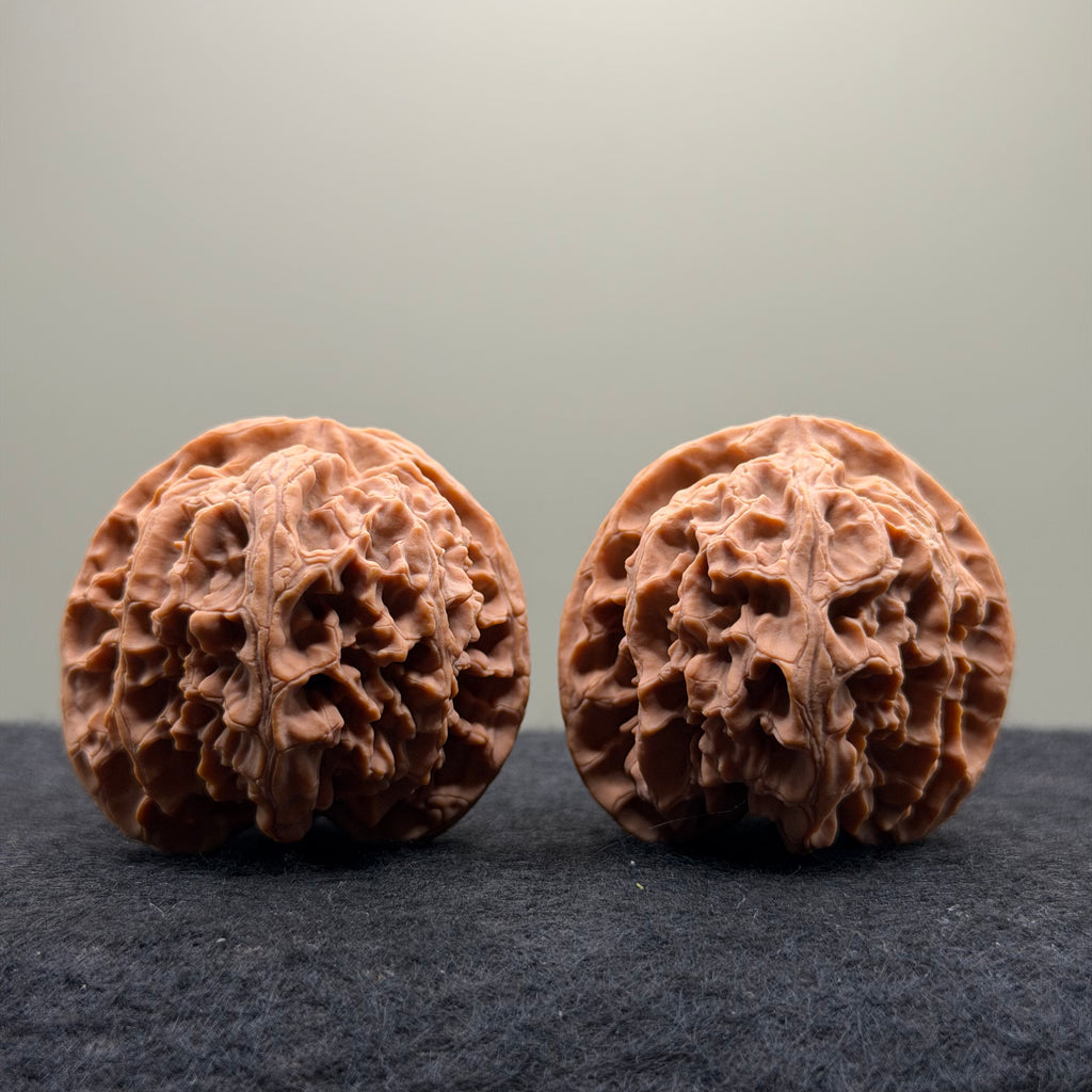 Apple Orchard Wenwan Walnut
