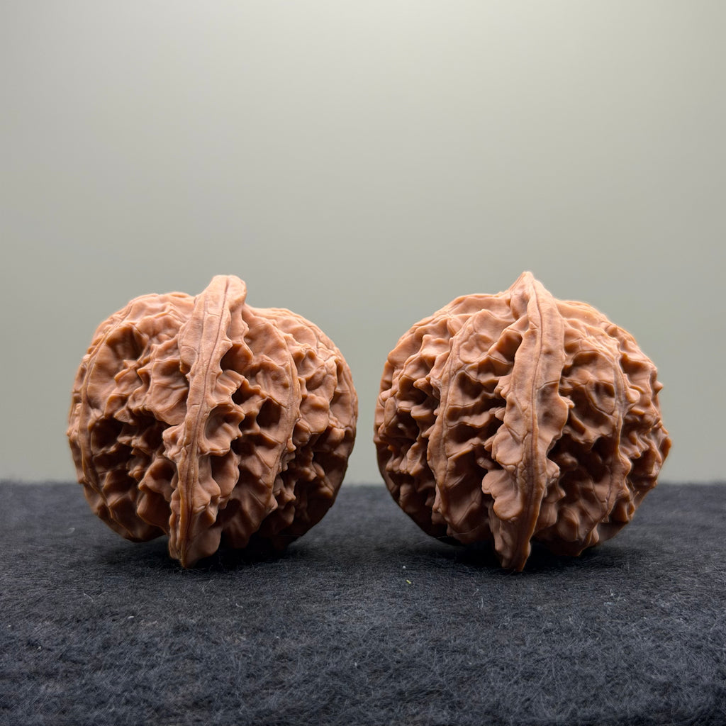 Apple Orchard Wenwan Walnut