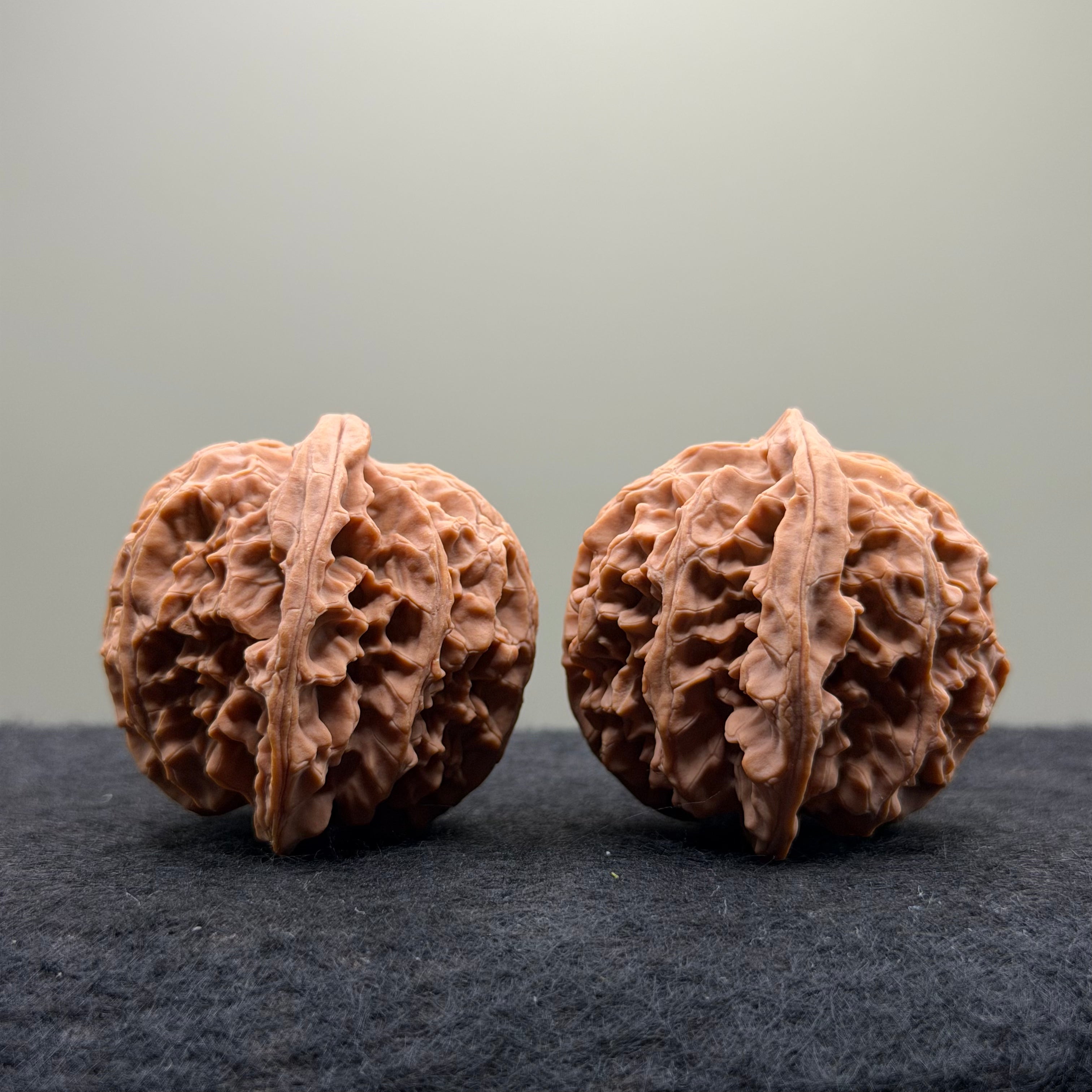 Apple Orchard Wenwan Walnut