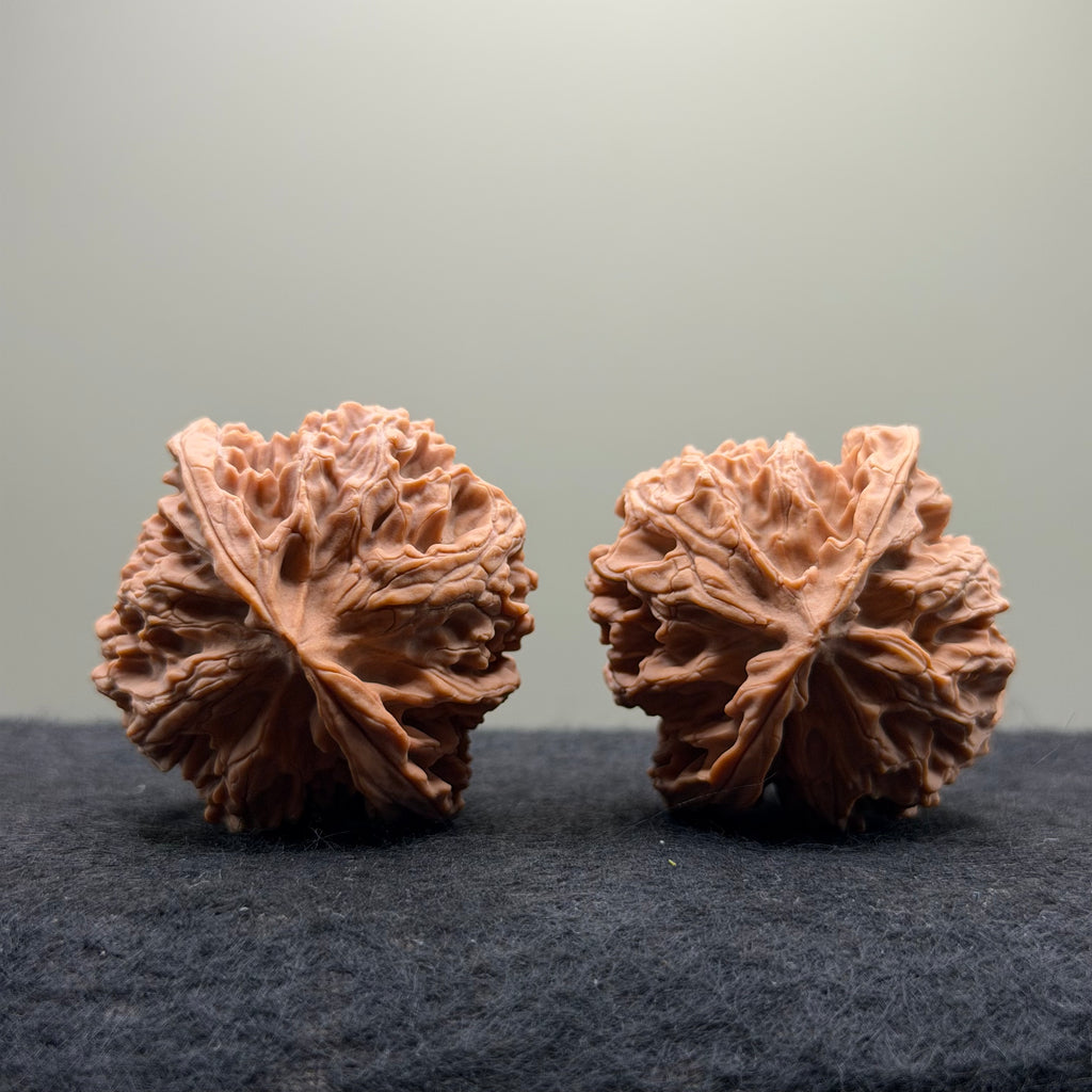 Apple Orchard Wenwan Walnut