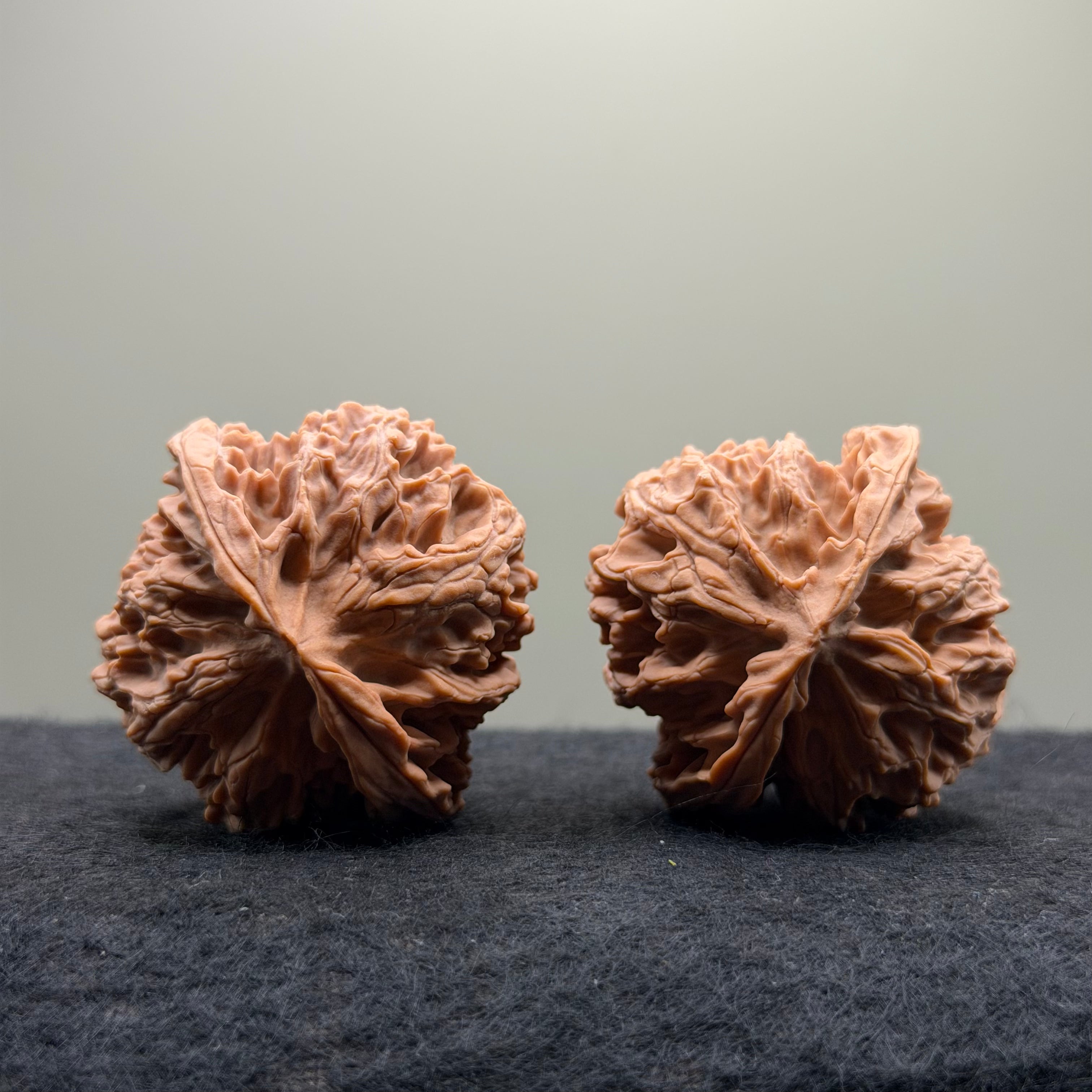Apple Orchard Wenwan Walnut