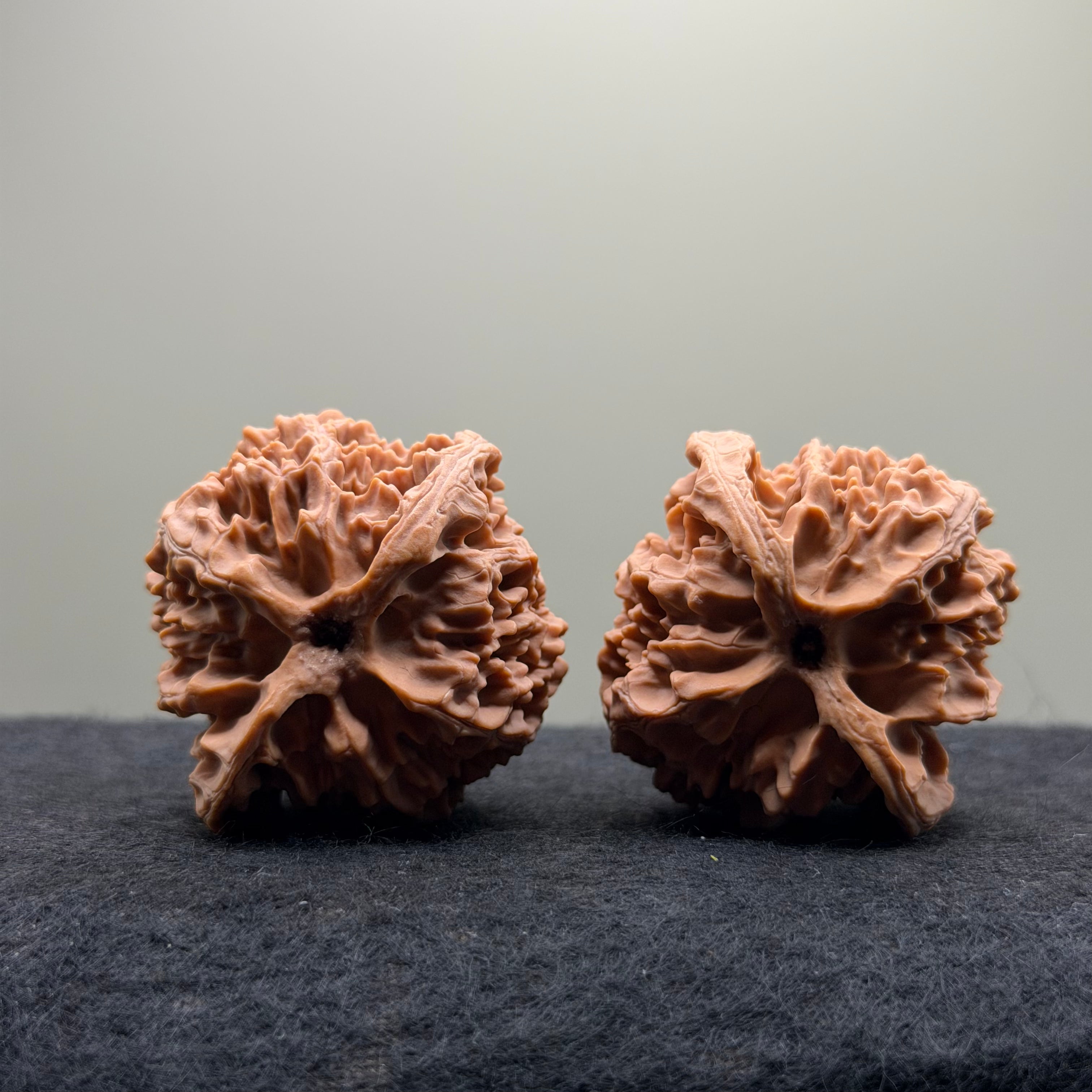 Apple Orchard Wenwan Walnut