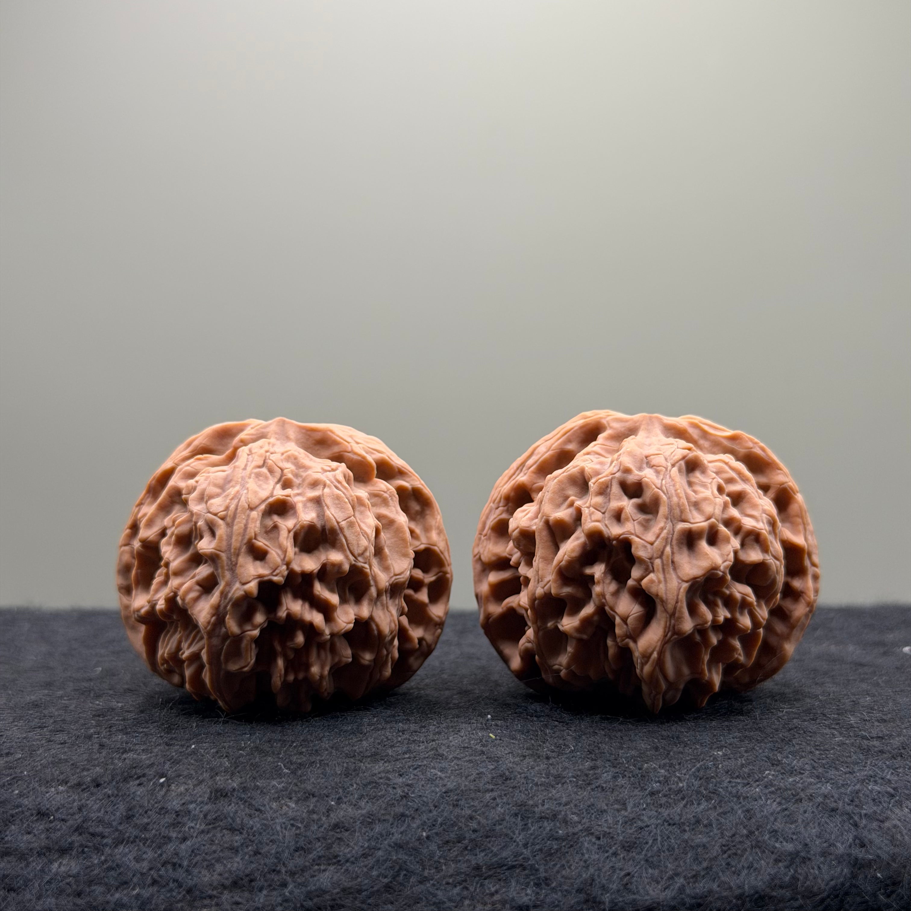 Apple Orchard Wenwan Walnut