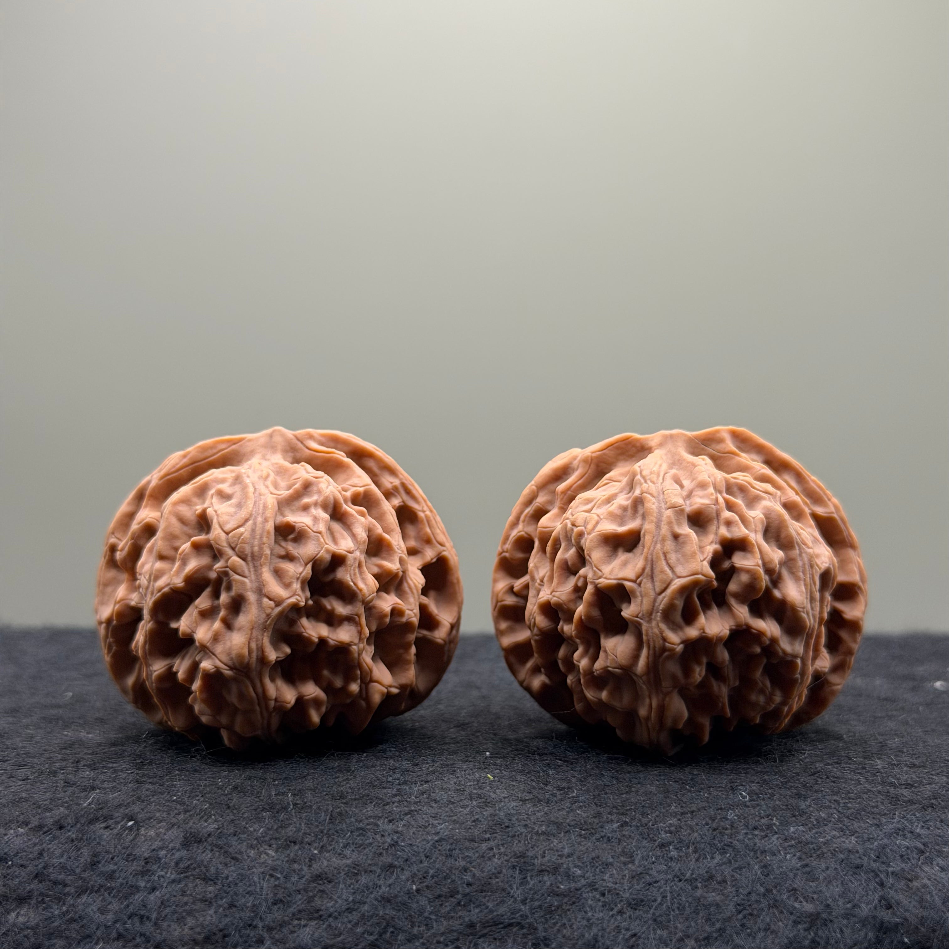 Apple Orchard Wenwan Walnut